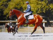 Pompadour 3 ans- Galop 1