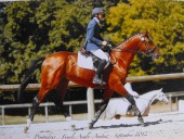 Pompadour 3 ans- Trot 1