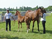 Ambre de Céran et Eulipe de Céran